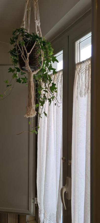 Musa Paradisiaca 都灵 外观 照片